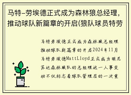 马特-劳埃德正式成为森林狼总经理，推动球队新篇章的开启(狼队球员特劳雷)